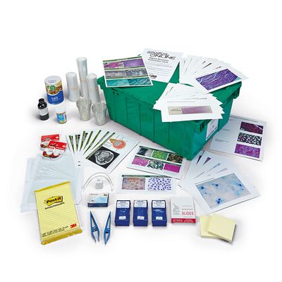 OpenSciEd: 6.6 Cells and Systems 1-Class Unit Kit